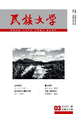民族文学封面